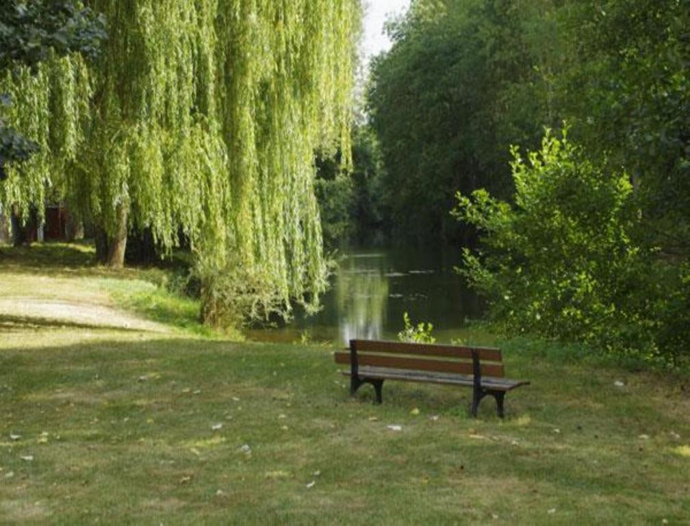 Le Clos Du Murier Chassignelles Exteriör bild